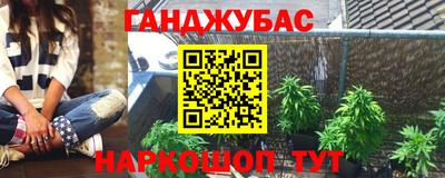 сатива Аргун